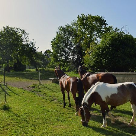 Farm Stay Zevnik Brežice Exteriör bild