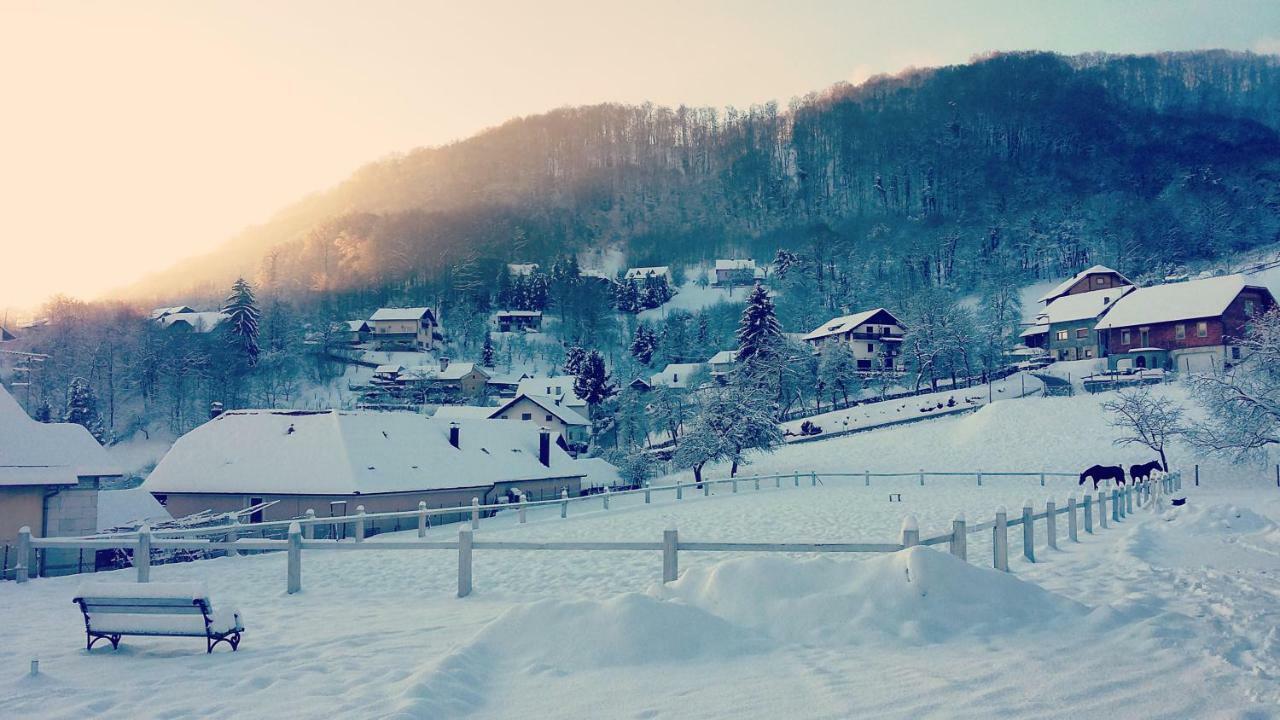 Farm Stay Zevnik Brežice Exteriör bild